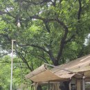 시냇가 하얀집 이미지