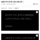 거를 타선이 없다는 무협소설의 레전드 도입부 이미지