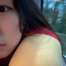 새봄민박 | 유럽여행 :D + 32~33