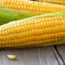 초당옥수수 전자레인지 꿀팁 초당옥수수 보관법 이미지