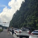 남조로 사려니숲길입구 | 제주도 남조로 사려니숲길 주차 입구 시간
