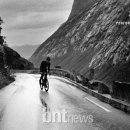 라파라이프 이미지