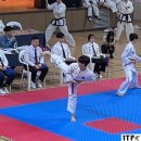 화랑체육관(태권도) | [구로] ITF태권도 중앙도장, 안산 오픈 대회 후기