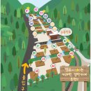 느티나무야영장 이미지