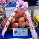 진환농장 이미지