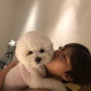 탐나게 이미지