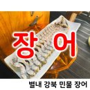 덕송천 | KBS 생생정보 출연 별내 강북 민물 장어 내돈내산 주차 가격