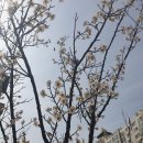 김미경 민박 | 유한함 속 성공법칙-선택과 집중 - 우선순위가 없는 목표는 영원히 이룰 수 없는 신기루와 같다