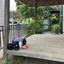 숲속의아침주말농원 이미지