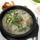 크로스핏 제이비 | 여름휴가는 패러와 함께 단양 여행