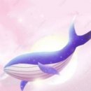 면천갈비(용봉산점) 이미지