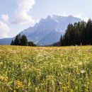 서초대로53길 24 이미지