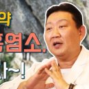 통영장어 이미지