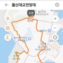 꽃바위 이미지