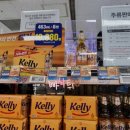 pet286다8124 | 집에서 혼술도, 캠핑이나 나들이 가서 한잔할 때도 좋은 [켈리 Kelly 맥주 가격 할인(Ft. 이마트)]