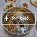 원소리 변강자씨댁 앞 간이화장실 | 평창 유천막국수 내돈내산 솔직후기