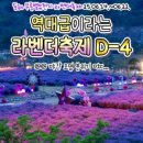 D-4 이미지