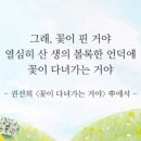 핑크스토리 이미지
