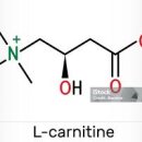 L카르니틴 엘카르니틴 이미지