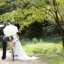 남북사랑결혼정보 이미지