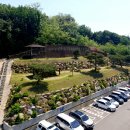 의료법인 큰나무의료재단 이미지