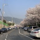 CU 경화점 네이버블로그