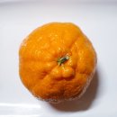 세진농원 이미지