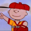 태닝아일랜드 이미지