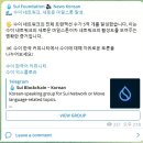 레이어프로젝트 이미지