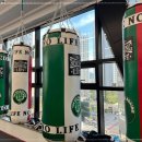 헐크복싱 이미지