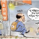 11-13 이미지