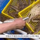 "대게 두마리에 37만원"… 끝날 줄 모르는 소래포구 ‘바가지’ 논란 이미지