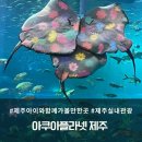 제주 아이와 가볼만한곳 볼거리가득한 아쿠아플라넷 제주