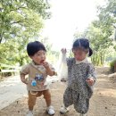 자연속으로 | 🌳 김천 녹색과학관 옆 유아숲 체험원 나들이 후기