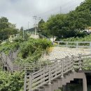 울릉도특산품직판장 이미지