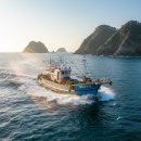 람바다 | 흑산도 낚시, 람바다수산 완전 리얼후기 (가격·서비스·예약팁 총정리)