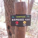 아라메길 (천년미소길-순환) 네이버블로그