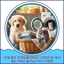 월드크리닝울산 이미지