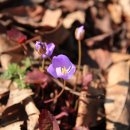 성남시립식물원 이미지