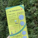 충남 안면도수산시장 - 게국지 네이버블로그