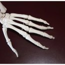 손신경외과의원 이미지