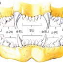 한가람동물의료센터 이미지
