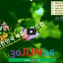 [0630'26] O 대한민국 북중미 월드컵 이미지