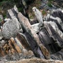 스트로마톨라이트 이미지