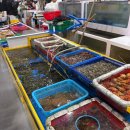 수산물 유통센터 화장실 | 딱 한 달! 봄 제철 음식 실치 회 먹으러 당진 장고항 수산물유통센터 내돈내산 후기 (feat.민영이네수산)