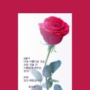 우아하개 이미지