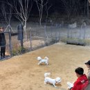 스포츠타운 화장실 이미지