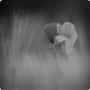 글로벌광택 이미지