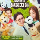 털뭉치들 이미지