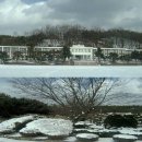 안의중학교 이미지